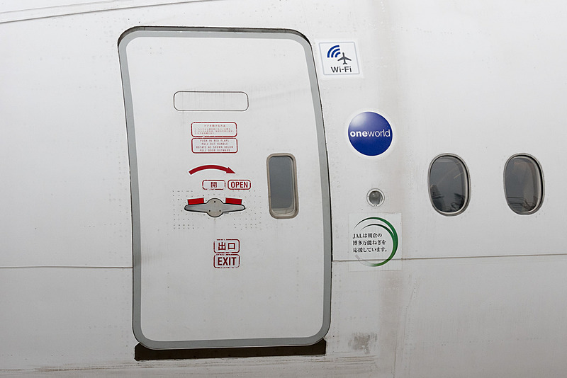 L1ドア脇の下方に「JALは朝倉の博多万能ねぎを応援しています。」と博多万能ねぎをデザインしたデカールが貼られている