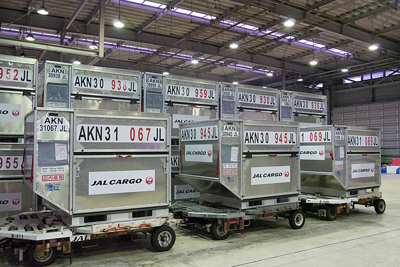 トーイングトラクターに乗って、博多万能ねぎが入ったコンテナが貨物エリアへ運ばれてくる