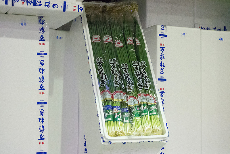 コンテナのなかに入った「博多万能ねぎ」