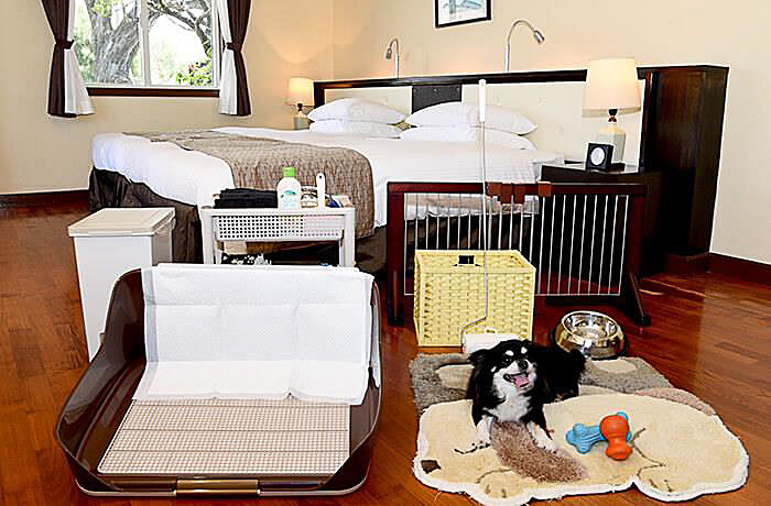 ホテル客室（イメージ）