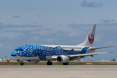JAL ボーイング 737-800 ジンベイジェット　 1/130　サメ 飛行機 JTA ボーイング737-800 ジンベエジェット: JTA・RAC関連商品