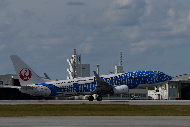 こちらは「新ジンベエジェット」。土曜日と変わらず、北に東に活躍中