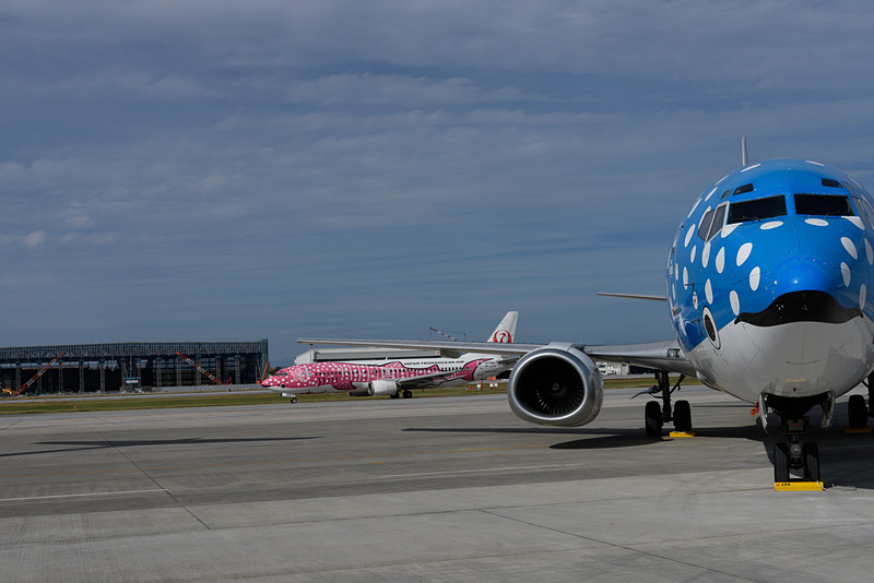 土曜日は展示されていた「さくらジンベエ」が路線で就航中