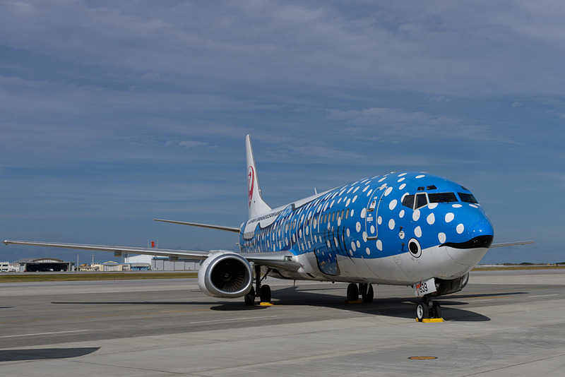 JTAは約束どおり、青い「ジンベエジェット」を展示