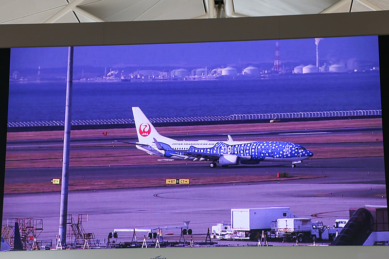 イベント当日、セントレアに着陸する「新ジンベエジェット」（ボーイング 737-800型機、登録記号：JA05RK）の模様を動画で紹介した
