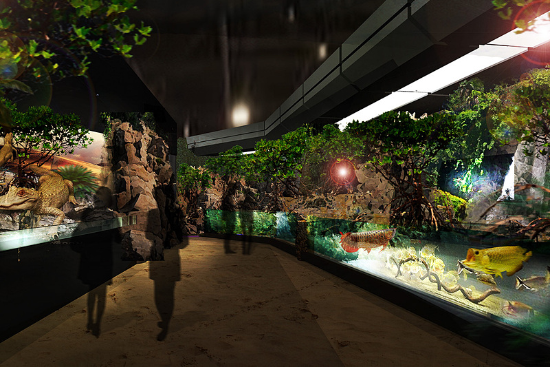 海洋生物と映像技術を組み合わせた展示を行なう