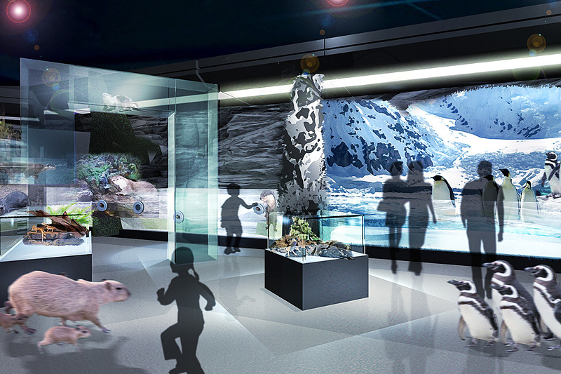 海洋生物と映像技術を組み合わせた展示を行なう