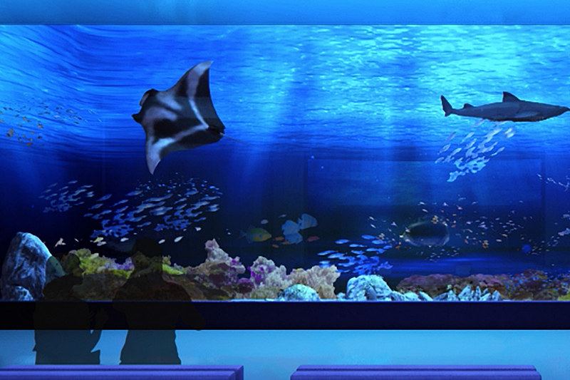 海洋生物と映像技術を組み合わせた展示を行なう