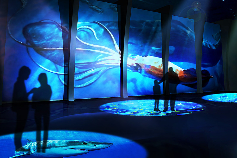 海洋生物と映像技術を組み合わせた展示を行なう