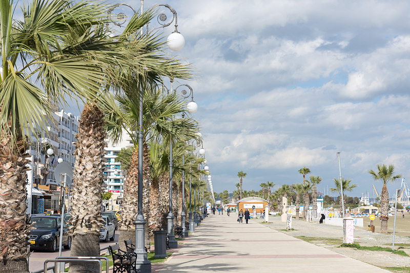 パームツリーが並ぶ海沿いの遊歩道