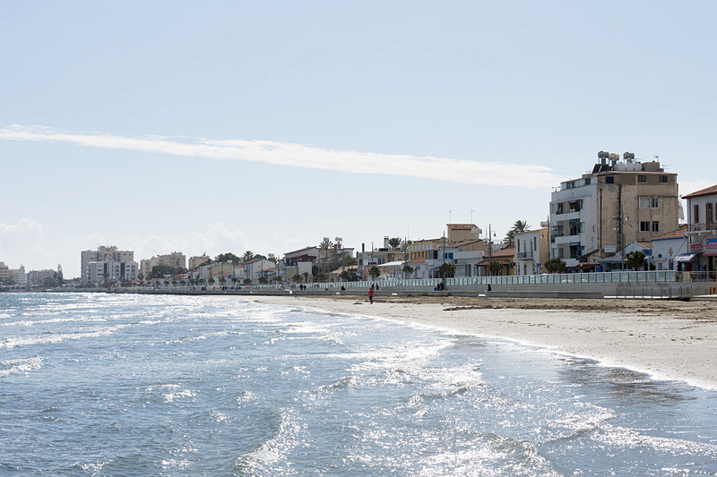 パームツリーが並ぶ海沿いの遊歩道