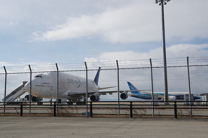 ドリームリフター（747LCF）のまわりを回ってボーイング 787初号機が登場
