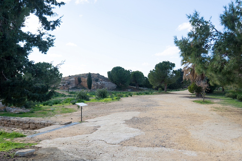 エントランスからは海岸方向に向かって歩いていくことになるが、その途中にも墓がある