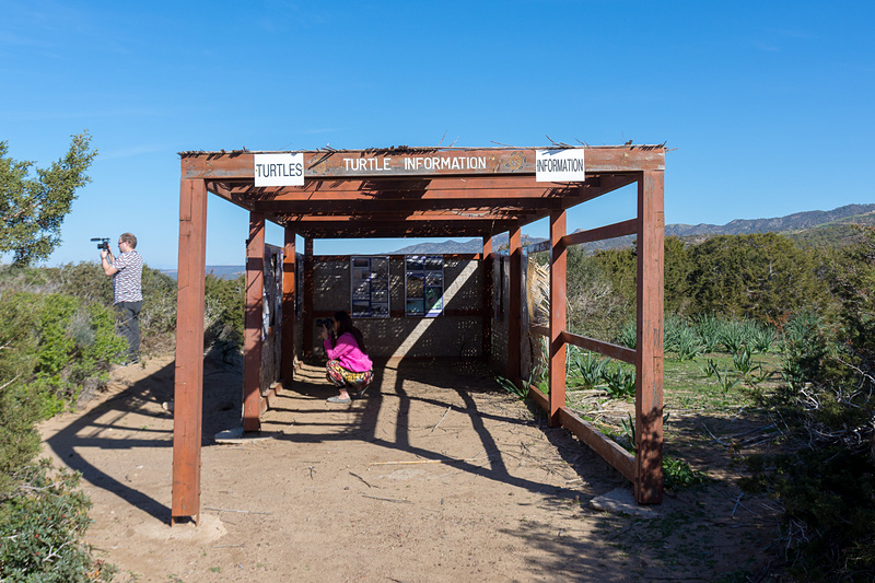 ウミガメの産卵地として保護されているララ・ビーチ（Lara Beach）