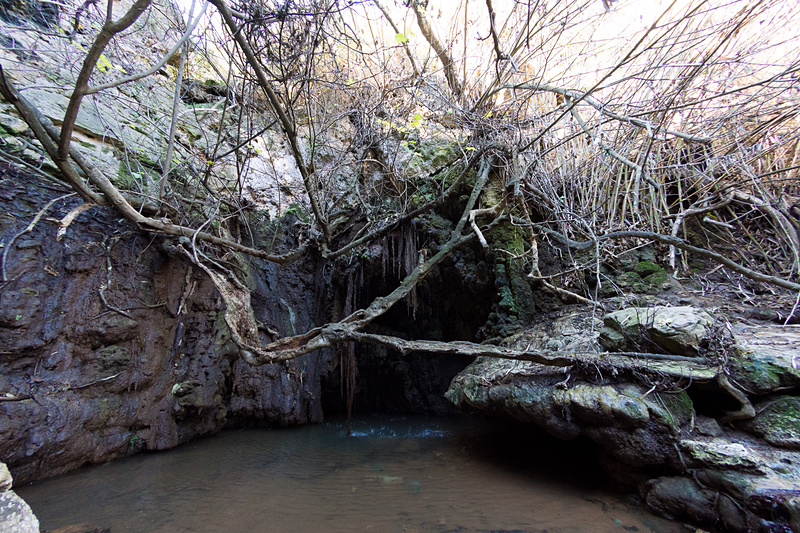 ここが、アフロディーテが沐浴をしたとされる泉
