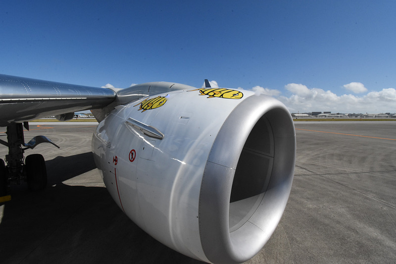 新ジンベエジェット