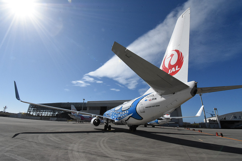 新ジンベエジェット