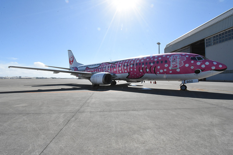 退役間近の旧さくらジンベエ