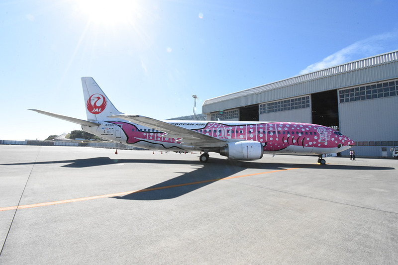 退役間近の旧さくらジンベエ