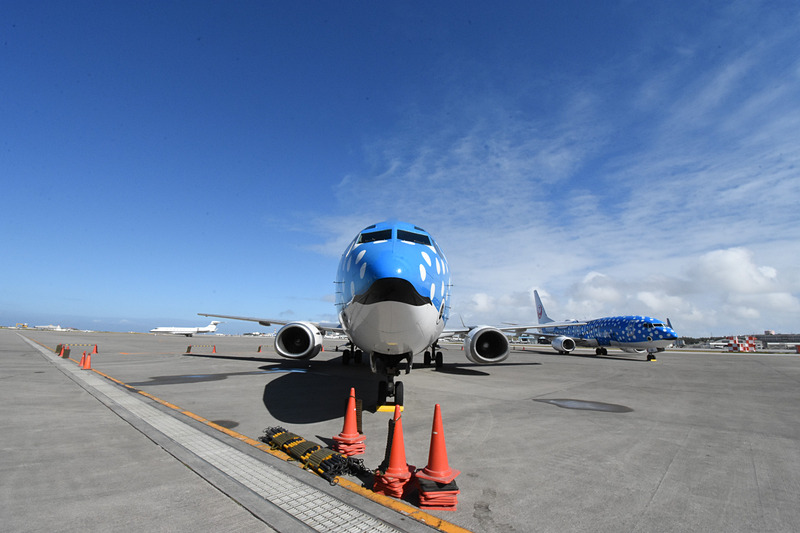 退役間近の旧ジンベエジェット