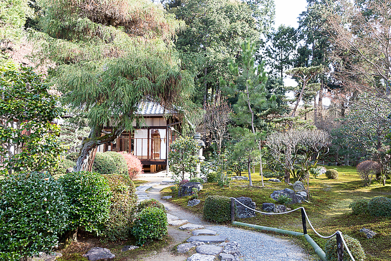 即宗院は東福寺の中にあり、偃月橋を渡った先にある。苔の美しい池泉回遊式庭園で、森に囲まれた自然豊かな場所でもある