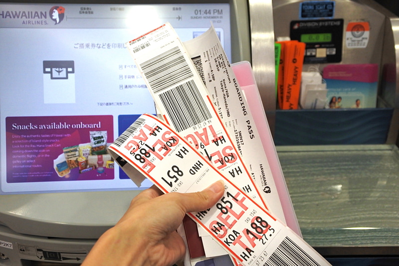 搭乗券と荷物用のタグ等を受け取る