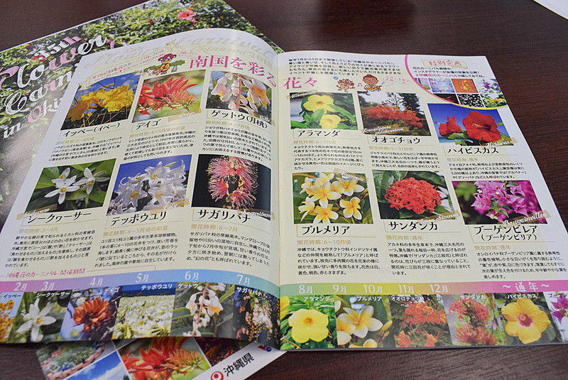 「沖縄花のカーニバル2018」のパンフレット。A5サイズで30ページ