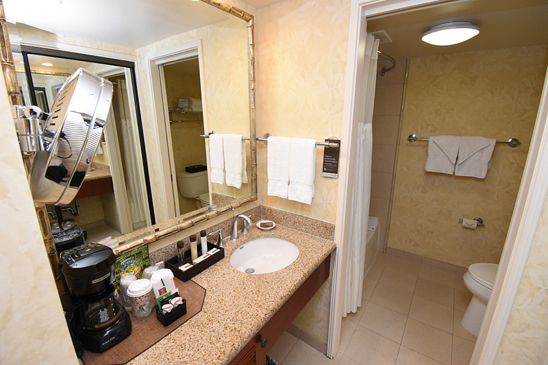 水まわり。温水洗浄便座はないけど浴槽があった（ない部屋もある）