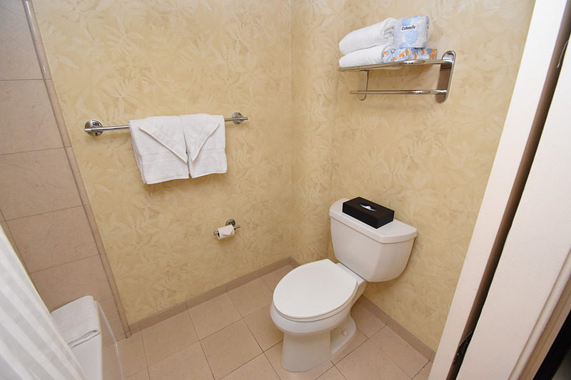 水まわり。温水洗浄便座はないけど浴槽があった（ない部屋もある）