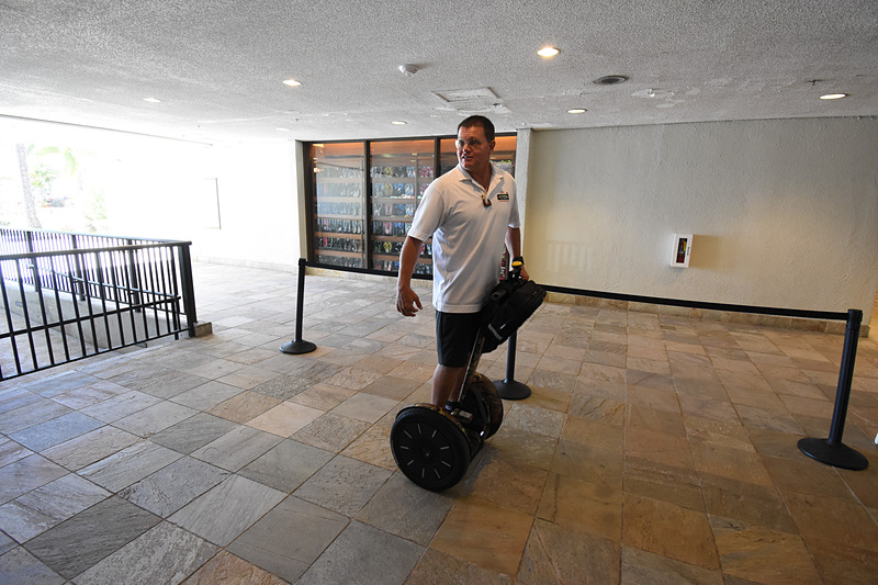 公道を走行するので、トレーニングは真剣。止まり方がなにより大事。ビリーさんの訓練は優しくも厳しい