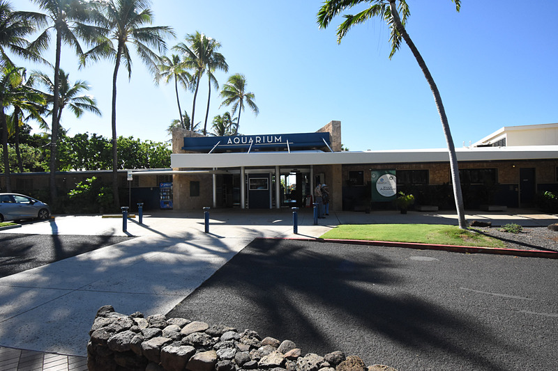 セグウェイツアー中に撮影した写真をまとめて