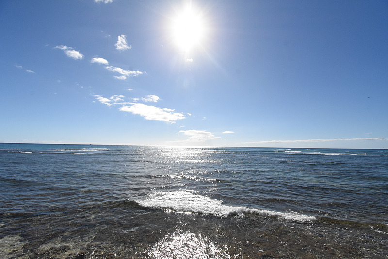 セグウェイツアー中に撮影した写真をまとめて