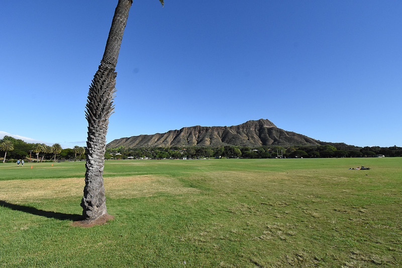 セグウェイツアー中に撮影した写真をまとめて