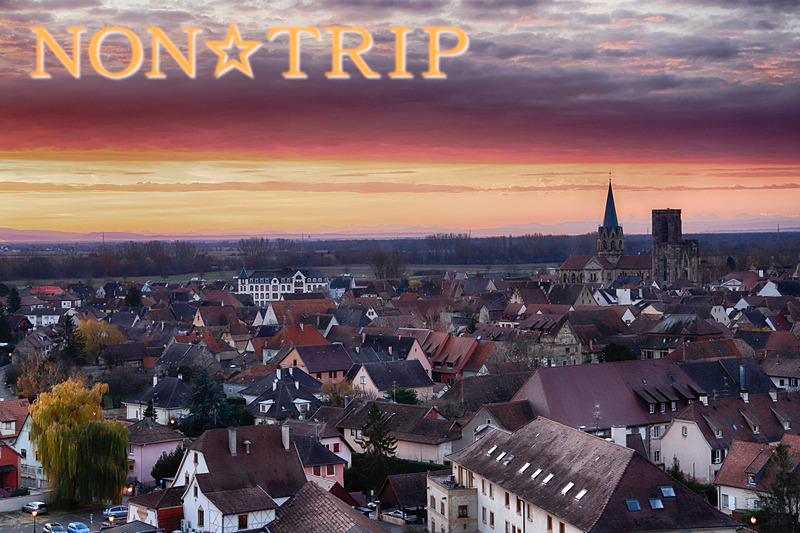 3泊4日でドイツ＆フランスのワイン産地巡りは、国境を越えてフランス・ブルゴーニュへ