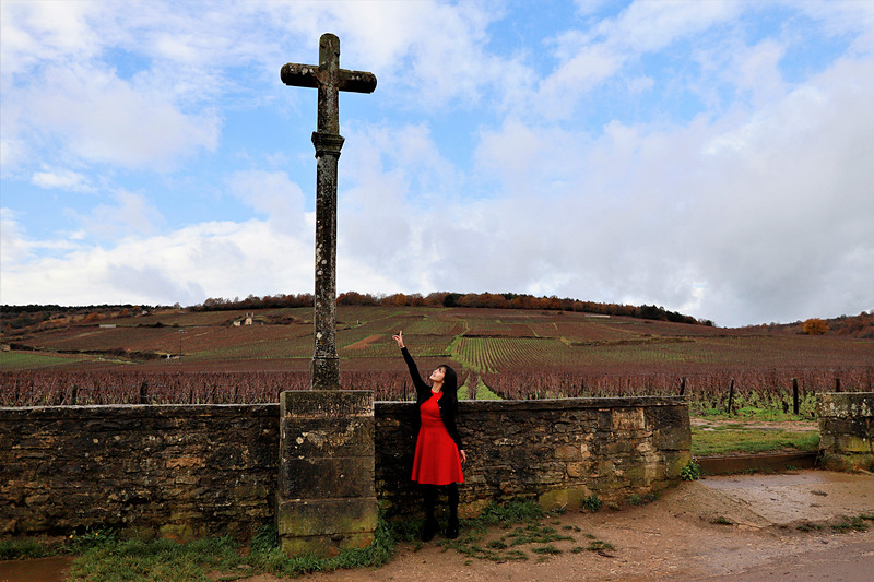 あの有名なロマネ・コンティの畑
