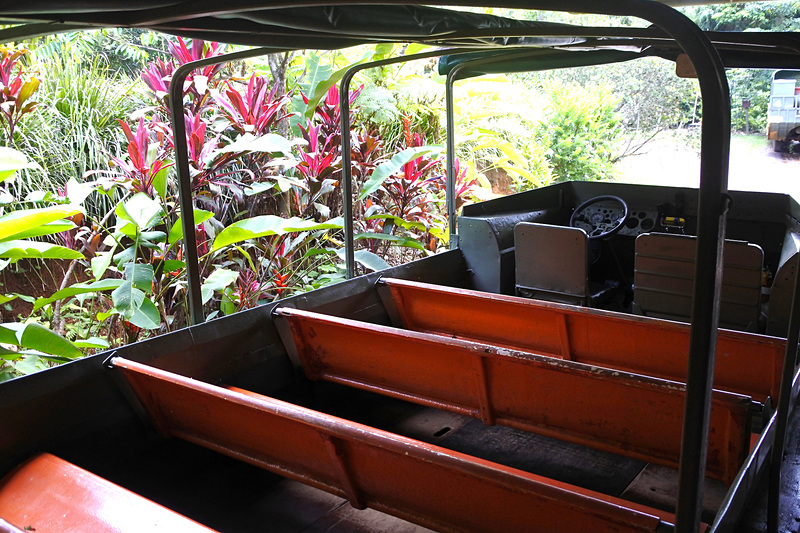 ベンチタイプの椅子が並ぶ車内。先頭にガイドが乗りツアーが始まる