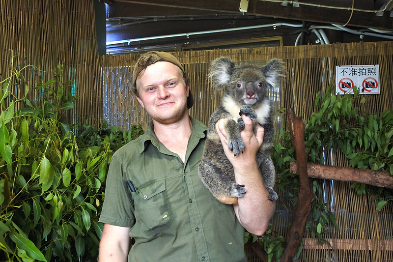 フワフワで草のよい香りがするコアラの女の子＆飼育員のお兄さんと一緒にパチリ