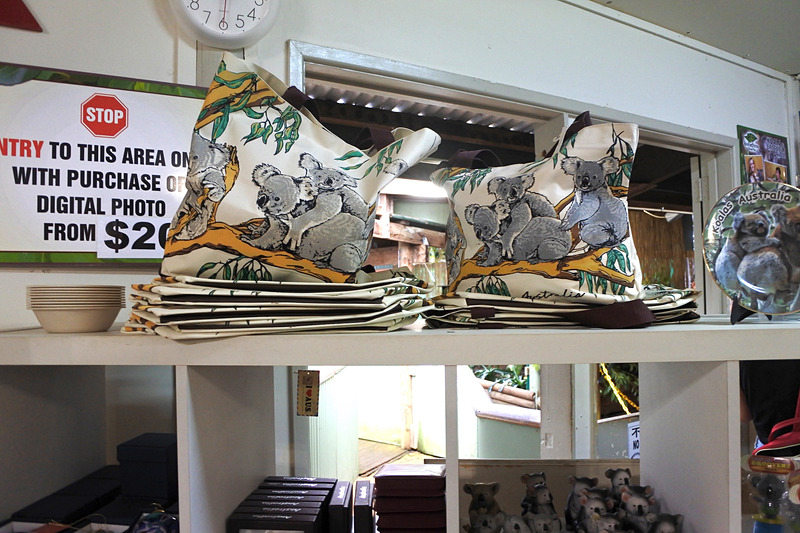 使いやすいコアラ柄のバッグなども