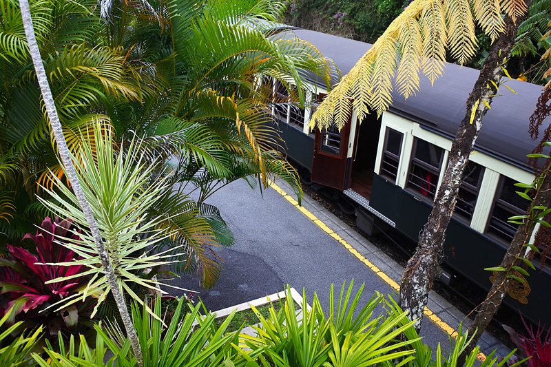 駅ナカにはガーデンが広がり、不思議とマッチしてくつろげる空間となっていた