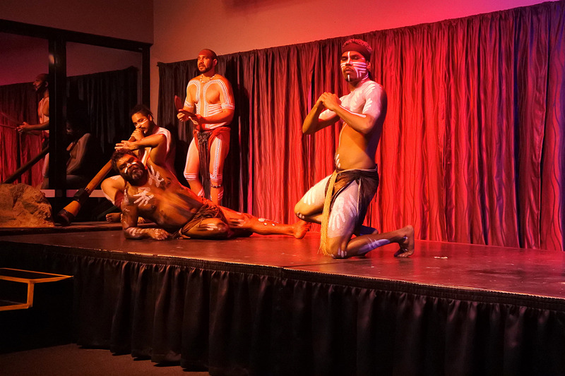 まさにカンガルーな仕草に夢中になる「動物のダンス」