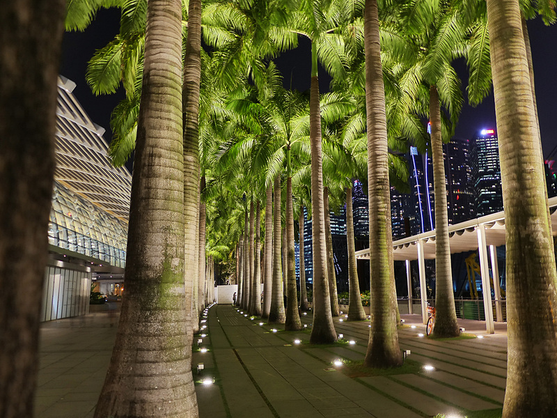 緑もライトアップしていてキレイ