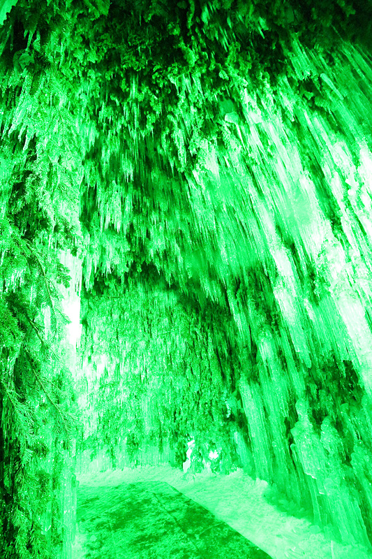 松の枝が使われた「苔の洞門」の内側。緑一色のすごい迫力に圧倒される