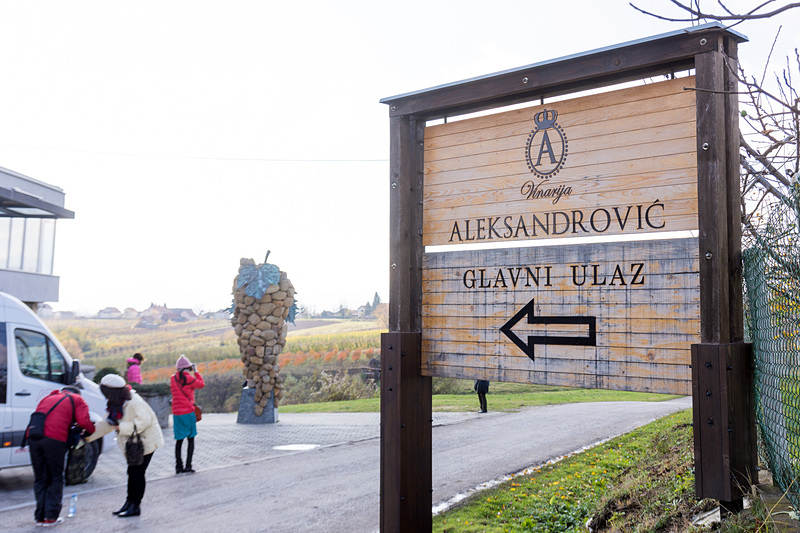 「アレクサンドラビッチ・ワイナリー（Vinarija Aleksandrović）」。先のキング・ペータルズ・ハウスなどがある場所からはクルマで10分ほど。周囲にブドウ園が広がる