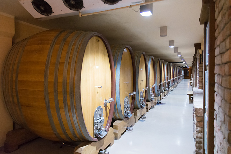 醸造所の見学やビデオ視聴、試飲を楽しめるワイナリーのガイドツアー。ほぼ機械化されており、人の手が必要な箇所は少なくなっているという