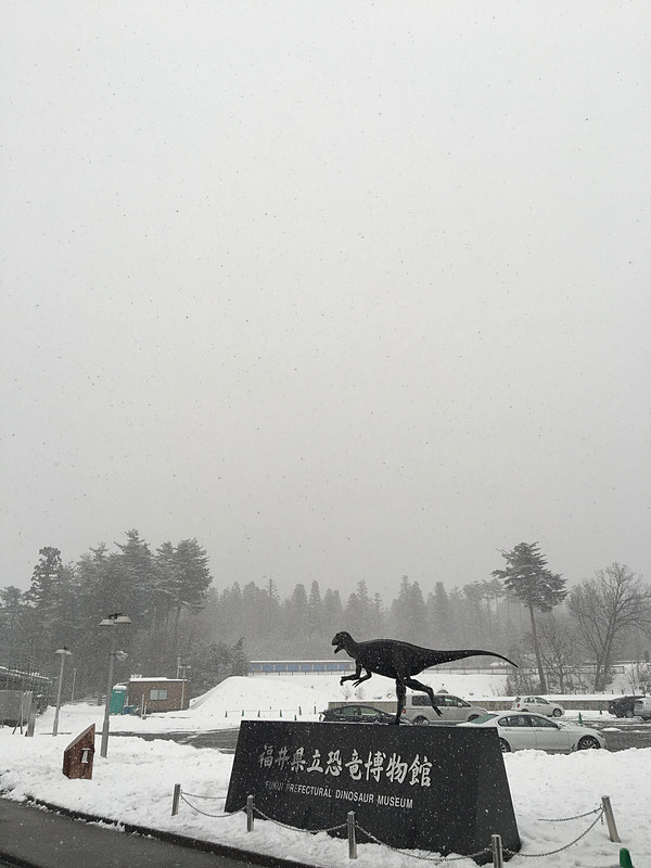 雪景色の恐竜博物館