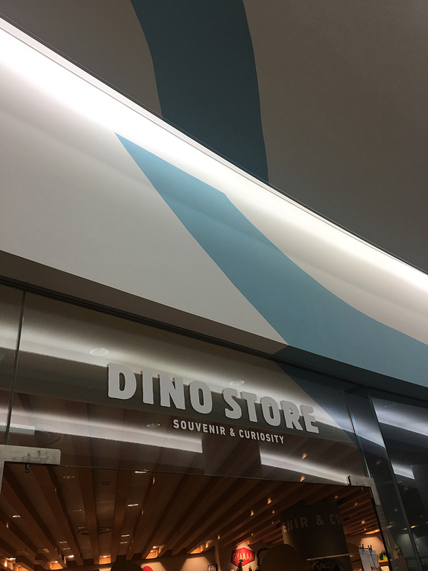 恐竜博物館内のDINO STORE