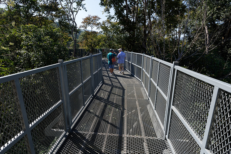 全長369mあるキャノピー・ウォークウェイの入口