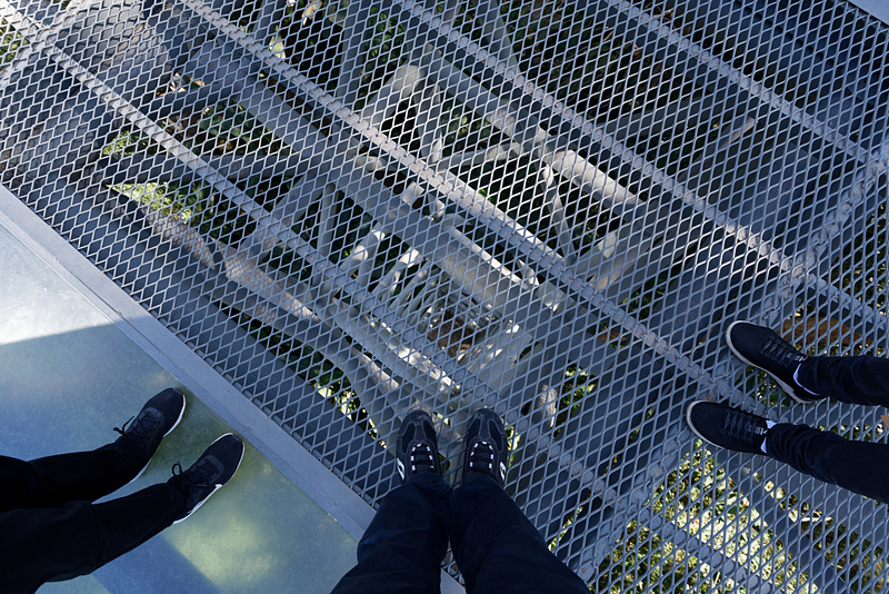 足元は金網。遠くに地面が見える