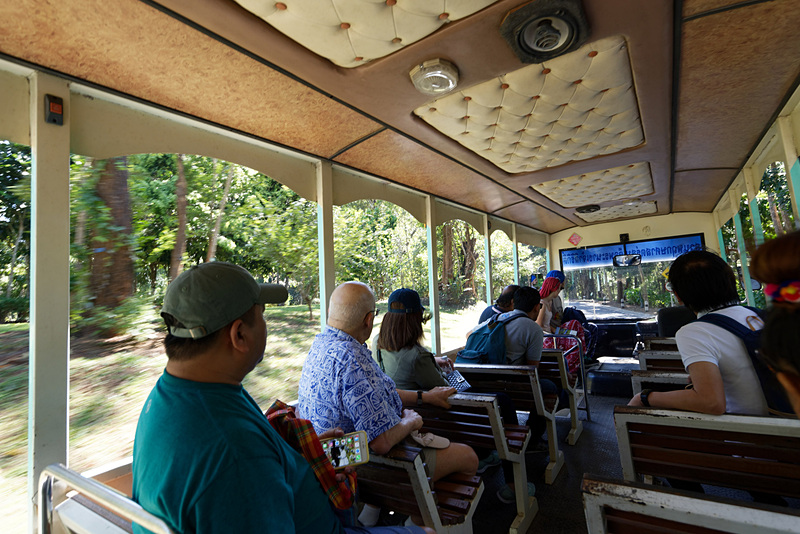 山の斜面につくられたボタニック・ガーデン。麓にある入口から主要施設までは急勾配が続くため、トラムを利用するのがおすすめ