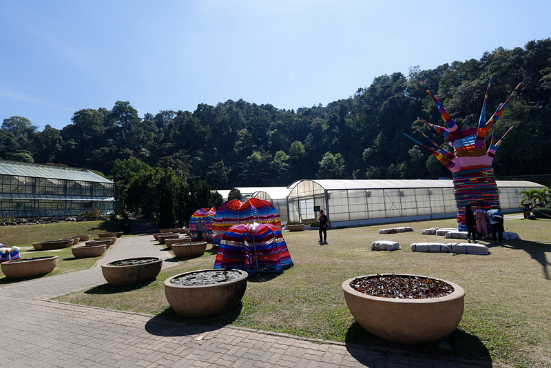 ハス科の植物が点在する広場。なぜかアート作品も展示